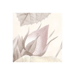 Komar  Vlies Fototapete La Maison 368x248 cm