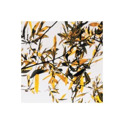 Komar  Vlies Fototapete Lakeside 300x250 cm