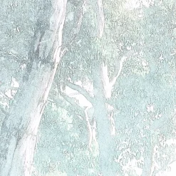 Komar  Vlies Fototapete Magic Trees 300x280 cm