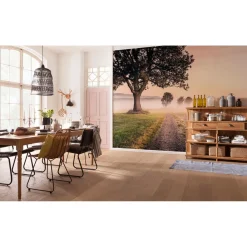 Komar  Vlies Fototapete Misty Morning 400x250 cm