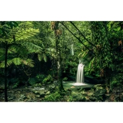 Komar  Vlies Fototapete My Hidden Treasure 400x250 cm