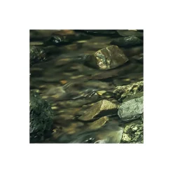 Komar  Vlies Fototapete My Hidden Treasure 400x250 cm