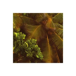 Komar  Vlies Fototapete Nature 368x248 cm