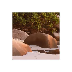 Komar  Vlies Fototapete Nature 368x248 cm