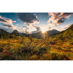 Komar  Vlies Fototapete Norwegische Herbstwelten 450x280 cm