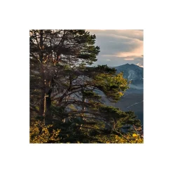 Komar  Vlies Fototapete Norwegische Herbstwelten 450x280 cm