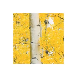 Komar  Vlies Fototapete Orange Forest 400x250 cm