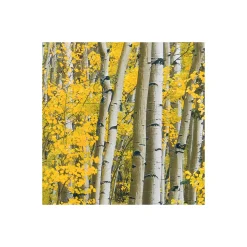 Komar  Vlies Fototapete Orange Forest 400x250 cm