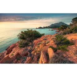 Komar  Vlies Fototapete Paradiso II 450x280 cm