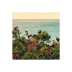 Komar  Vlies Fototapete Paradiso II 450x280 cm