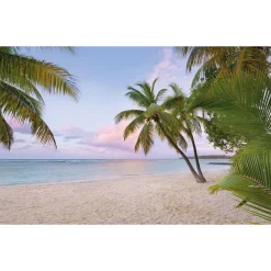 Komar  Vlies Fototapete Paradise Morning 400x250 cm