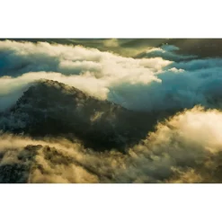 Komar  Vlies Fototapete Pangea 450x280 cm