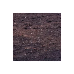 Komar  Vlies Fototapete Palmtrees on Beach 200x250 cm