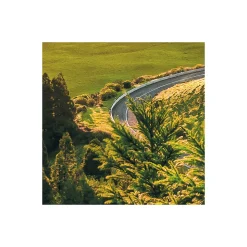 Komar  Vlies Fototapete Paradise Island 400x250 cm