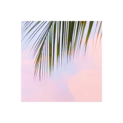 Komar  Vlies Fototapete Paradise Morning 368x248 cm