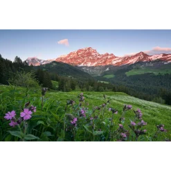 Komar  Vlies Fototapete Picturesque Switzerland 450x280 cm