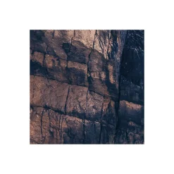 Komar  Vlies Fototapete Pillar Parade 200x250 cm