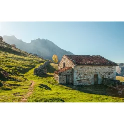 Komar  Vlies Fototapete Picos de Europe Alm 450x280 cm