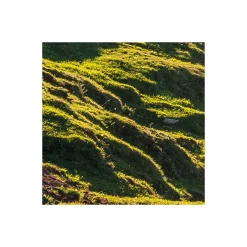 Komar  Vlies Fototapete Picos de Europe Alm 450x280 cm