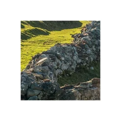 Komar  Vlies Fototapete Picos de Europe Alm 450x280 cm