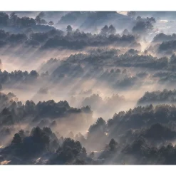 Komar  Vlies Fototapete Rays 300x250 cm