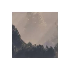 Komar  Vlies Fototapete Rays 300x250 cm