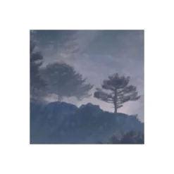 Komar  Vlies Fototapete Rays 300x250 cm