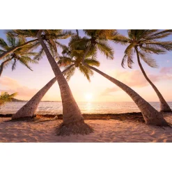 Komar  Vlies Fototapete Reaching the Sun 400x250 cm