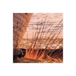 Komar  Vlies Fototapete Reaching the Sun 400x250 cm