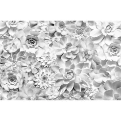 Komar  Vlies Fototapete Shades Black and White 400x250 cm