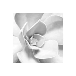 Komar  Vlies Fototapete Shades Black and White 400x250 cm