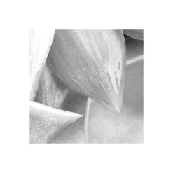 Komar  Vlies Fototapete Shades Black and White 400x250 cm