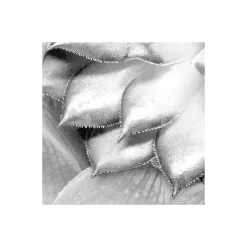 Komar  Vlies Fototapete Shades Black and White 400x250 cm