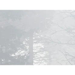 Komar  Vlies Fototapete Silver Haze 400x280 cm