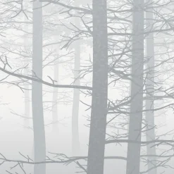 Komar  Vlies Fototapete Silver Haze 400x280 cm