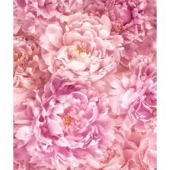 Komar  Vlies Fototapete Soave 200x250 cm