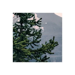 Komar  Vlies Fototapete Spirit Island 450x280 cm