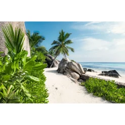 Komar  Vlies Fototapete Tagträume 450x280 cm