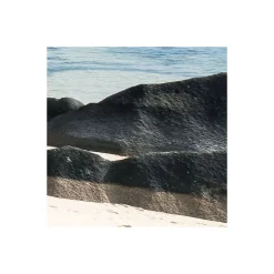 Komar  Vlies Fototapete Tagträume 450x280 cm