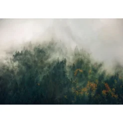 Komar  Vlies Fototapete Tales of the Carpathians 300x200 cm