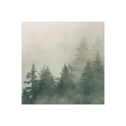 Komar  Vlies Fototapete Tales of the Carpathians 300x200 cm