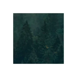 Komar  Vlies Fototapete Tales of the Carpathians 300x200 cm