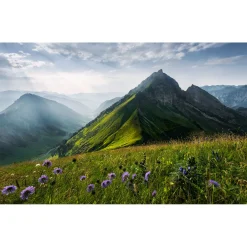 Komar  Vlies Fototapete The Green Queen 450x280 cm