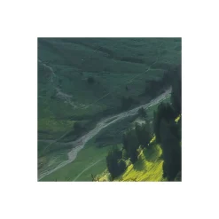 Komar  Vlies Fototapete The Green Queen 450x280 cm