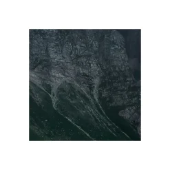 Komar  Vlies Fototapete The Green Queen 450x280 cm