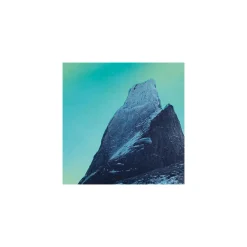 Komar  Vlies Fototapete The Coronation 200x250 cm