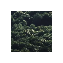 Komar  Vlies Fototapete The Summit 300x250 cm