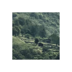 Komar  Vlies Fototapete The Summit 300x250 cm