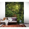 Komar  Vlies Fototapete The Path 200x250 cm