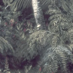 Komar  Vlies Fototapete The Exotic Land 200x280 cm